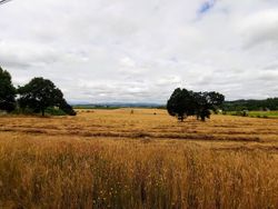 Willamette Valley Bike Tour: Day 3